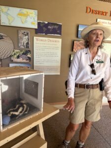 Desert exhibit guide beside caged skunk